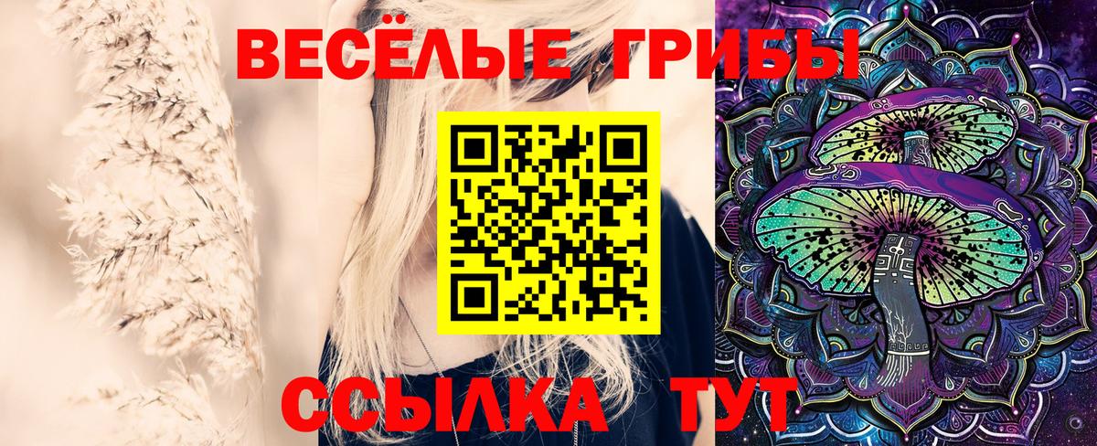 Сибай  Галлюциногенные грибы GOLDEN TEACHER  Вход с VPN  Галлюциногенные грибы мицелий 